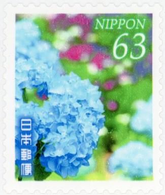 Hydrangea