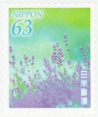 Lavender