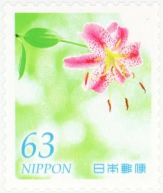Japanese Lily (Lilium speciosum)