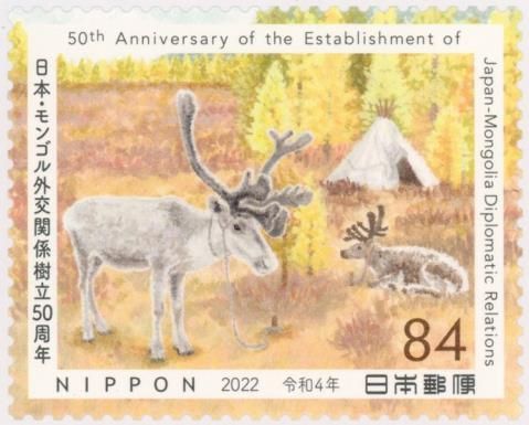Reindeer (Rangifer tarandus)