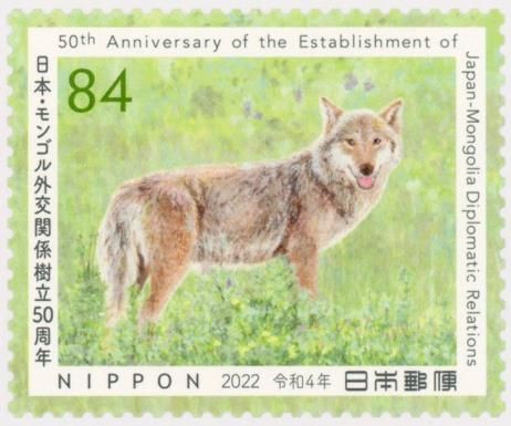 Eurasian Wolf (Canis lupus lupus)