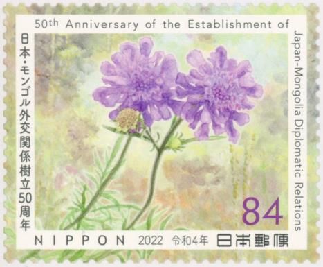 Scabiosa comosa