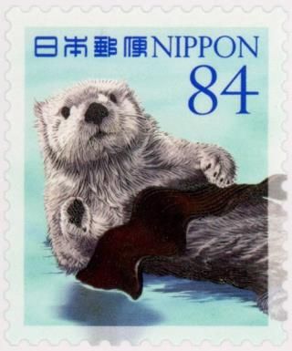 Sea Otter (Enhydra lutris)