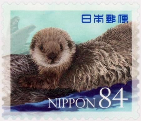 Sea Otter (Enhydra lutris)
