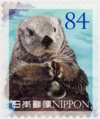 Sea Otter (Enhydra lutris)