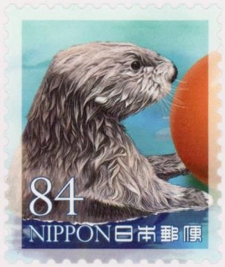 Sea Otter (Enhydra lutris)