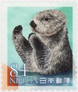 Sea Otter (Enhydra lutris)