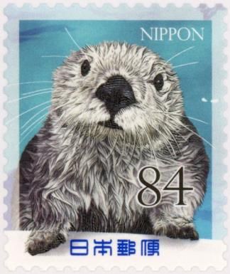 Sea Otter (Enhydra lutris)