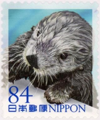 Sea Otter (Enhydra lutris)