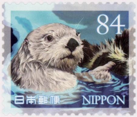 Sea Otter (Enhydra lutris)