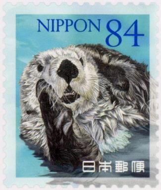 Sea Otter (Enhydra lutris)
