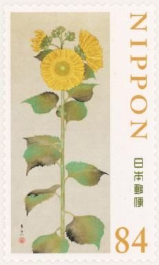 Sunflowers, Suzuki Kiitsu