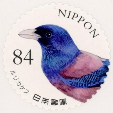 Blue Jay
