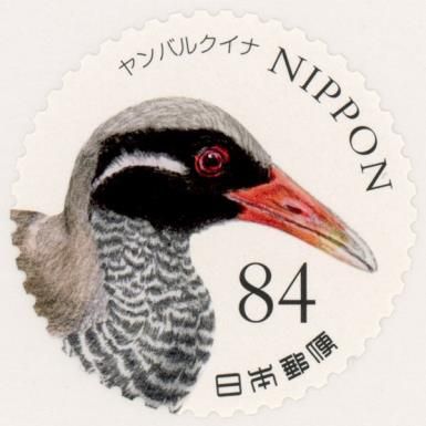 Yanbaru Kuina