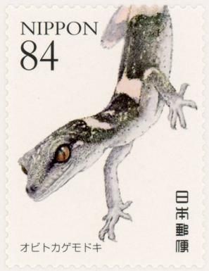 Obito Gecko