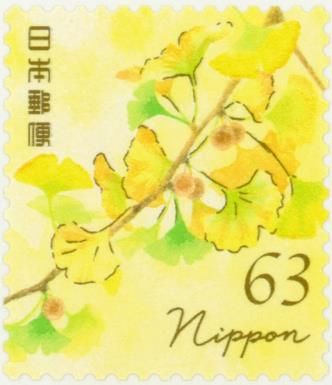 Ginkgo (Ginkgo biloba)