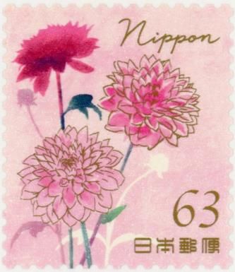 Dahlia (Dahlia pinnata)