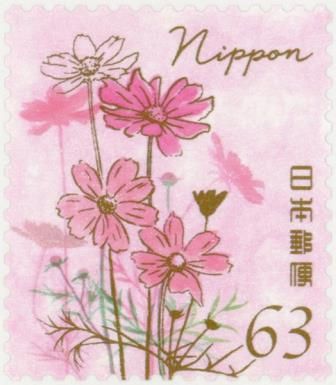 Garden Cosmos (Cosmos bipinnatus)