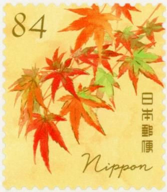 Japanese Maple (Acer palmatum)