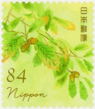 Konara Acorn (Quercus serrata)