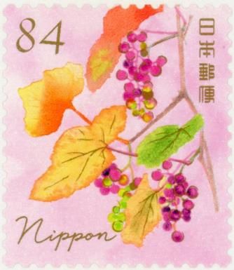 Crimson Glory Vine (Vitis coignetiae)