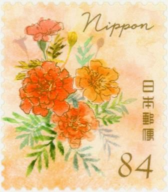 Marigold (Tagetes sp.)