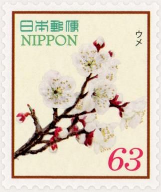 Plum Blossoms (Prunus mume)