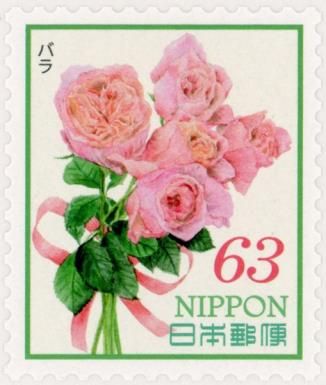 Roses (Rose sp.)