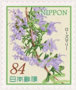 Rosemary (Salvia rosmarinus)