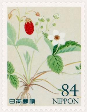 Dutch Strawberry