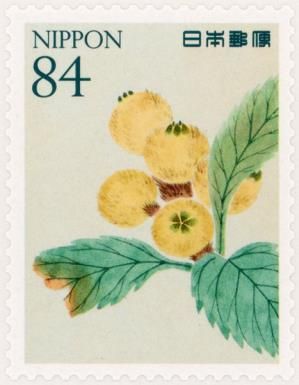 Loquat