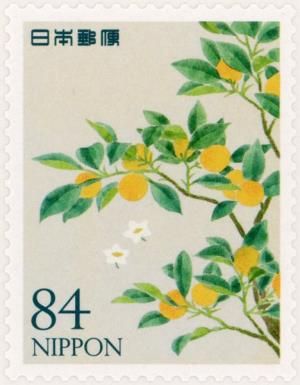 Kumquat