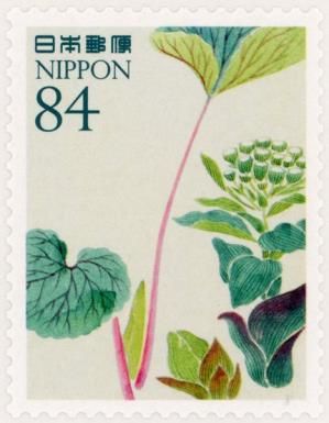 Butterbur