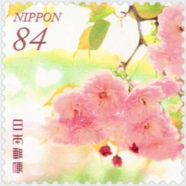 Cherry Blossom Passage at the Mint Bureau (Osaka Prefecture)