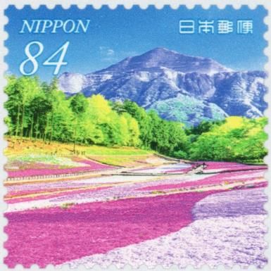 Moss Phlox at Hitsujiyama Park (Saitama Prefecture)