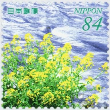 Naka River and Rape Blossoms (Shizuoka Prefecture)
