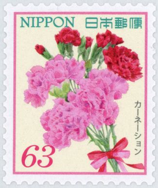 Carnations