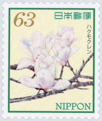 White Magnolias