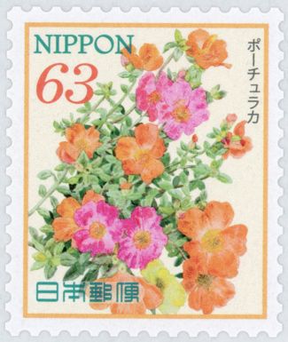 Portulacas