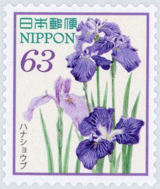 Japanese Irises