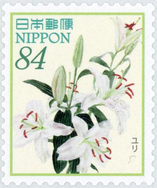 Lilies