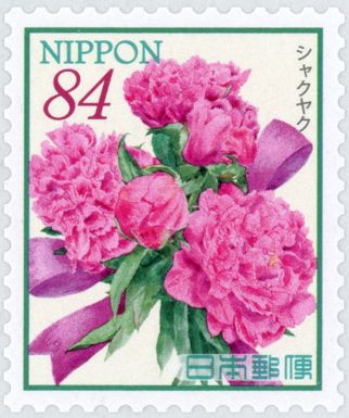 Peonies