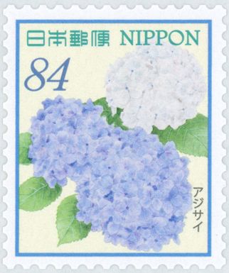 Hydrangeas
