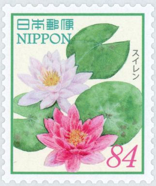 Water Lilies