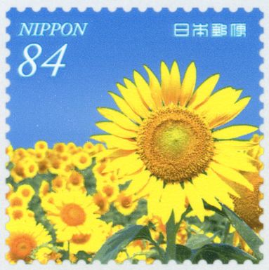 Yanagawa City Sunflower Garden (Fukuoka Prefecture)