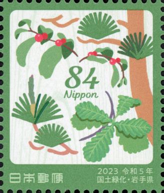 Southern red pine, Japanese oak, Hana Leopard Tambok