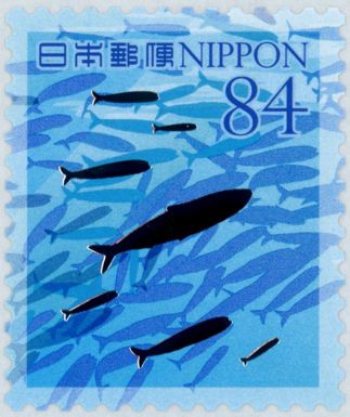 Sardines (Clupeidae sp.)