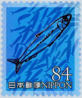 Sardines (Clupeidae sp.)
