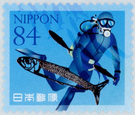 Sardines (Clupeidae sp.) and Scuba Diver