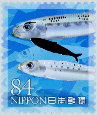 Sardines (Clupeidae sp.)
